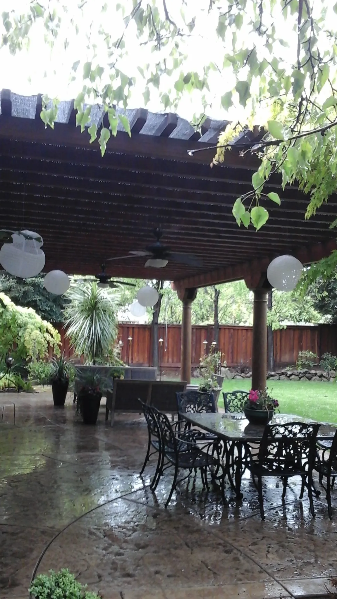 Picture of Under the shelter of a meticulously crafted pergola, a serene garden oasis is revealed, inviting leisurely gatherings amidst nature. A Ramos Construction, Inc. focuses on quality outcomes, ensuring every detail enhances the space. Copyright ©2025 Diamond Certified Resource

 - A Ramos Construction, Inc.