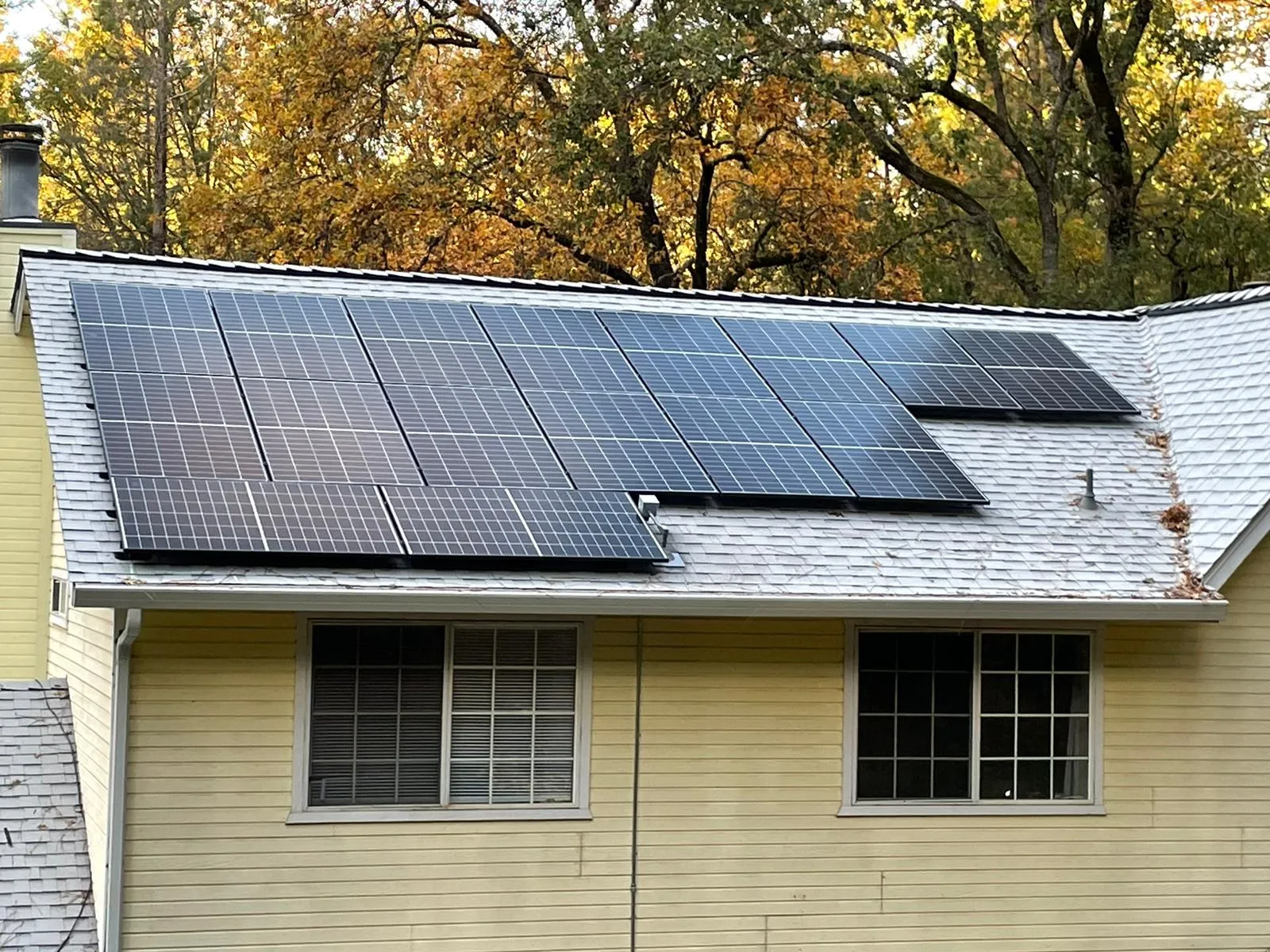 Picture of Solar panels glisten under the autumn canopy, a testament to SolarUnion's commitment to quality outcomes. Their expertise ensures optimal energy solutions for homes like this. Copyright ©2025 Diamond Certified Resource

 - SolarUnion
