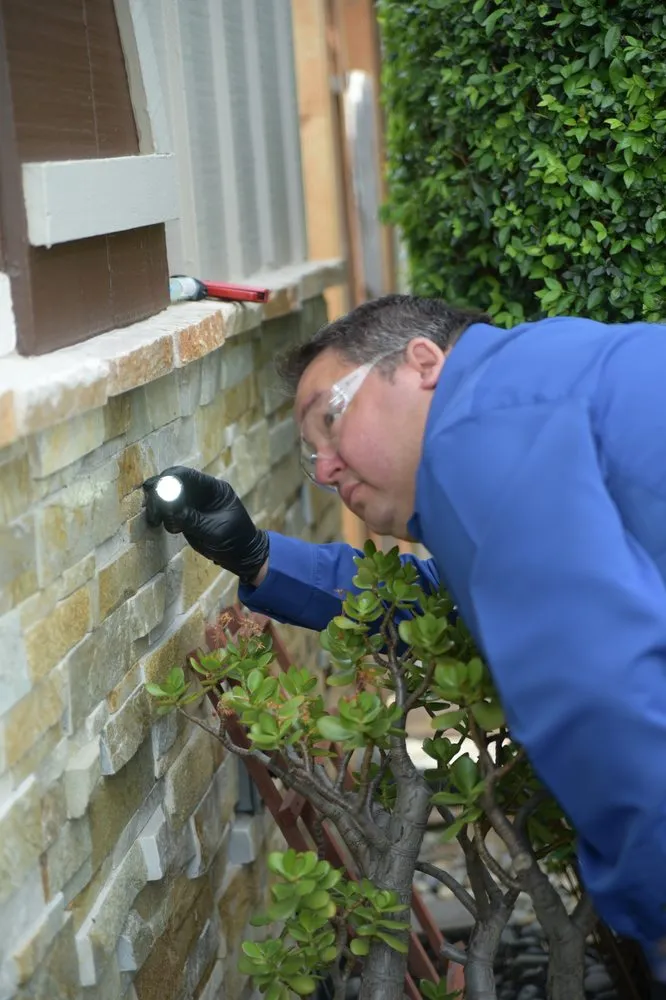 Picture of  A Presto Pest Control, Inc. specialist examines a stone wall, flashlight in hand, showcasing the company’s commitment to quality outcomes. Their top-rated expertise ensures thorough inspections. Copyright ©2025 Diamond Certified Resource.

 - Presto Pest Control, Inc.
