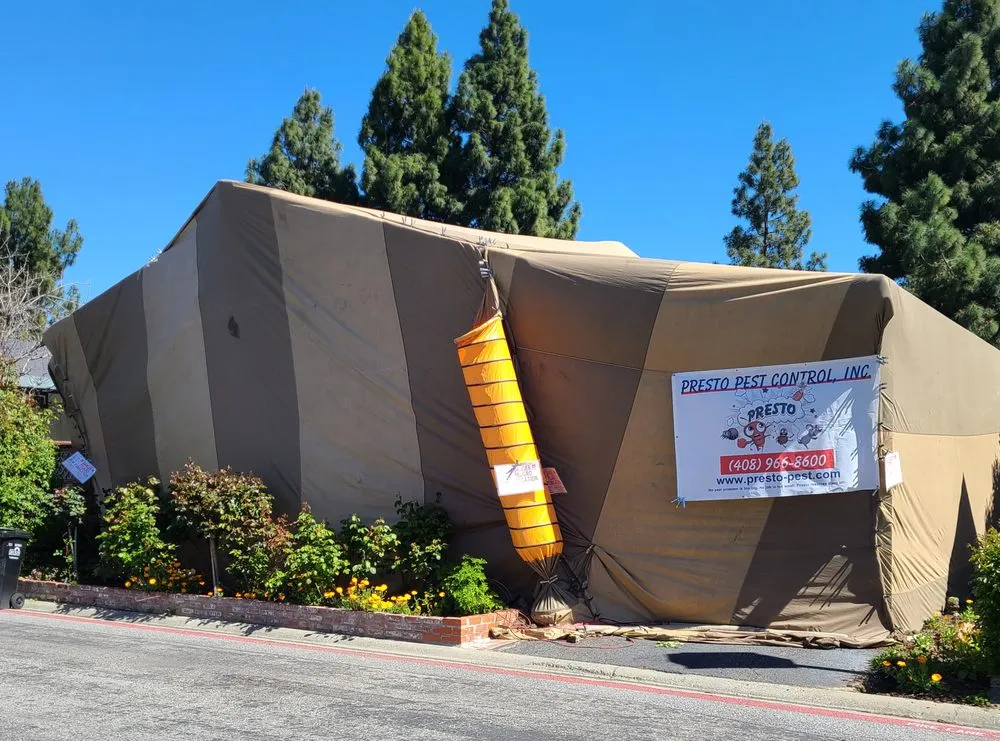 Picture of  A large tent covers a home surrounded by greenery as Presto Pest Control, Inc. conducts a fumigation, ensuring superior pest management. The company is recognized for expertise and quality. Copyright ©2025 Diamond Certified Resource.

 - Presto Pest Control, Inc.
