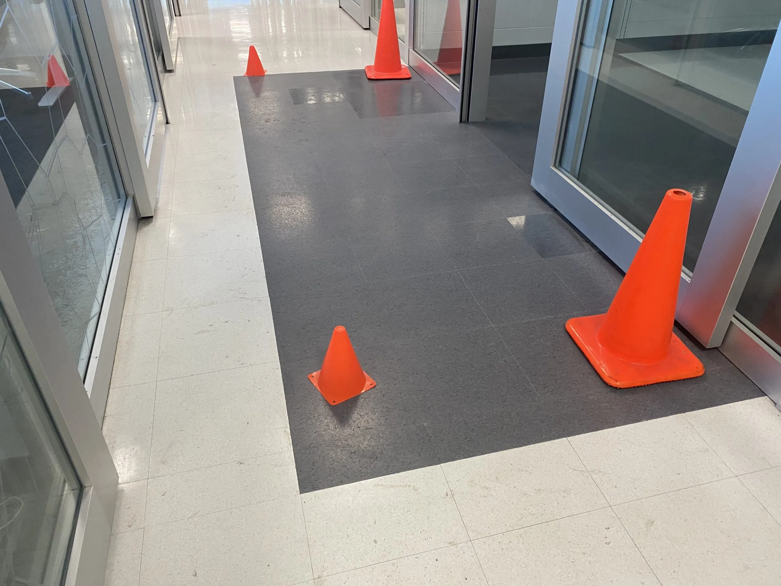 Office hallway with orange cones marking a newly tiled section, surrounded by glass doors. Office hallway with orange cones marking a newly tiled section, surrounded by glass doors.