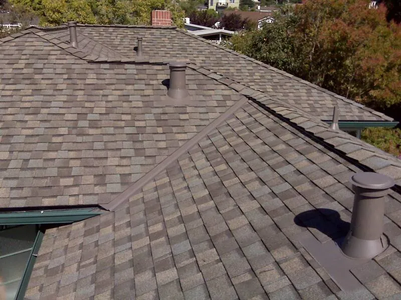 A shingled roof with multiple vent pipes set against a backdrop of trees and a clear sky. A shingled roof with multiple vent pipes set against a backdrop of trees and a clear sky.