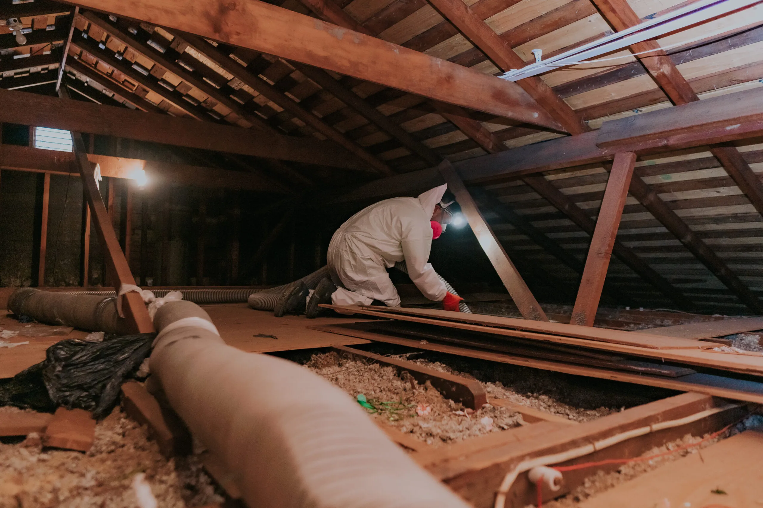 Picture of 
In the dimly lit attic, a dedicated worker from Attic Pros carefully insulates the space, ensuring optimal quality outcomes. Attic Pros is recognized for expertise and quality. Copyright ©2025 Diamond Certified Resource

 - Attic Pros