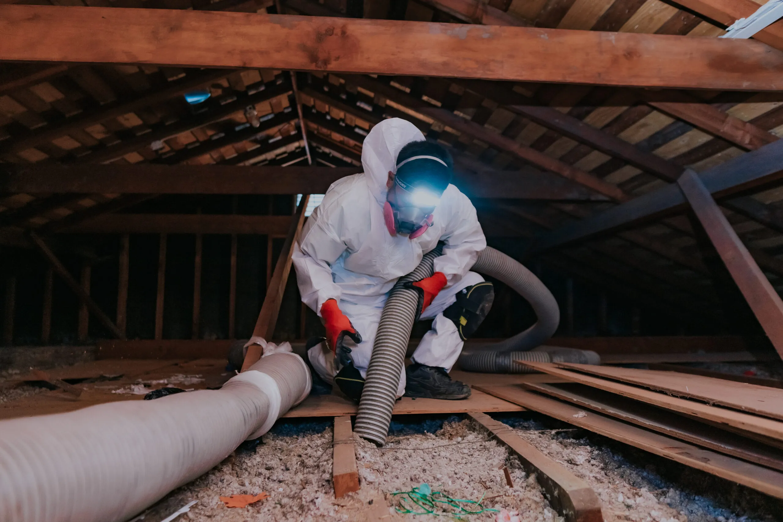 Picture of In a dimly lit attic, a professional from Attic Pros meticulously cleans insulation, embodying the companyâ€™s focus on quality outcomes. Earning Diamond Certified, they ensure every corner is spotless. Copyright ©2025 Diamond Certified Resource - Attic Pros