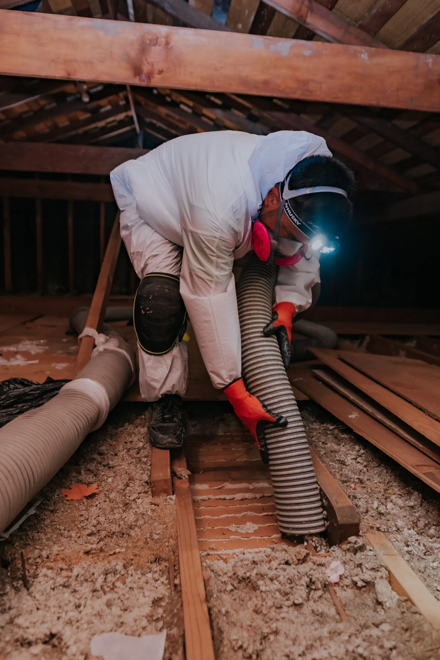 Picture of A focused technician from Attic Pros expertly maneuvers a hose in an attic, encapsulating precision and care. This scene highlights their commitment to quality outcomes in insulation services. Copyright ©2025 Diamond Certified Resource

 - Attic Pros