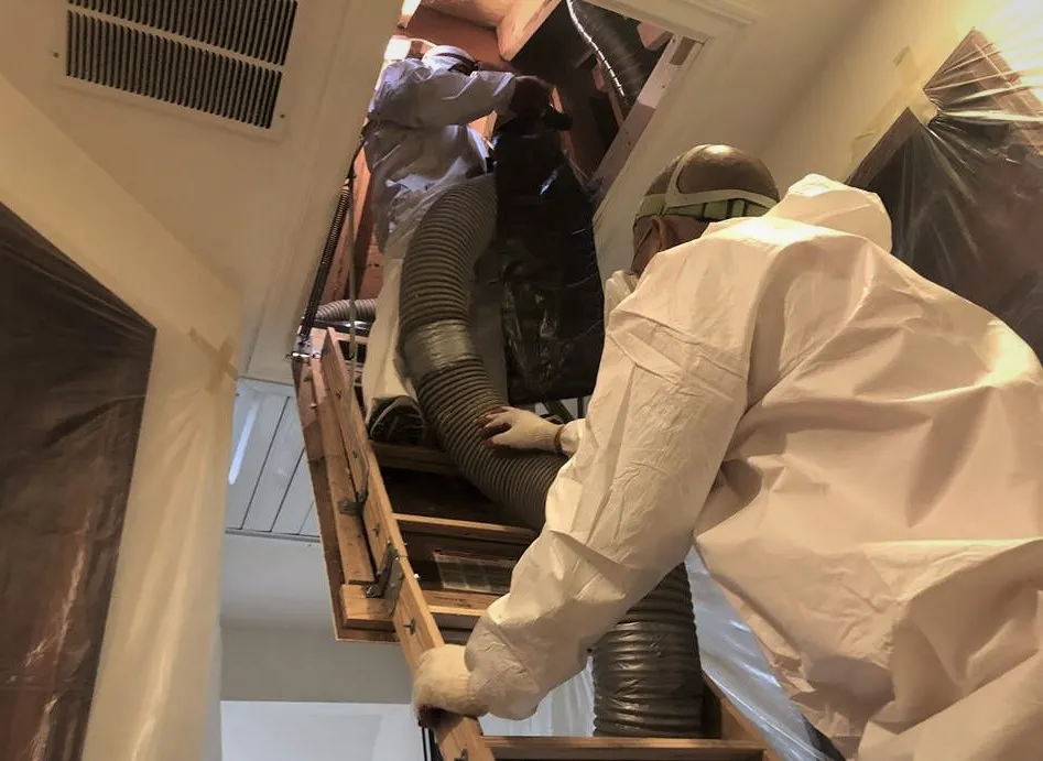  Technicians in protective suits climb a ladder into an attic, carrying large hoses. The setting is a residential interior space.