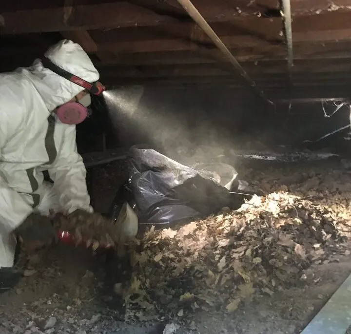 A person in protective gear cleans debris in a dim crawl space, with a spotlight illuminating dust and fallen leaves, near a black garbage bag. A person in protective gear cleans debris in a dim crawl space, with a spotlight illuminating dust and fallen leaves, near a black garbage bag.