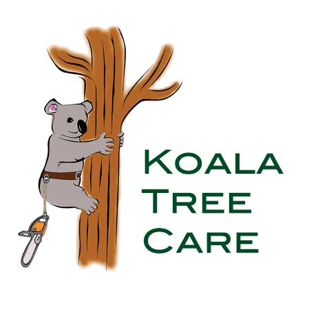 https://www.diamondcertified.org/wp_contents/uploads/2023/03/Koala-Tree-Care-2714-logo.webp
