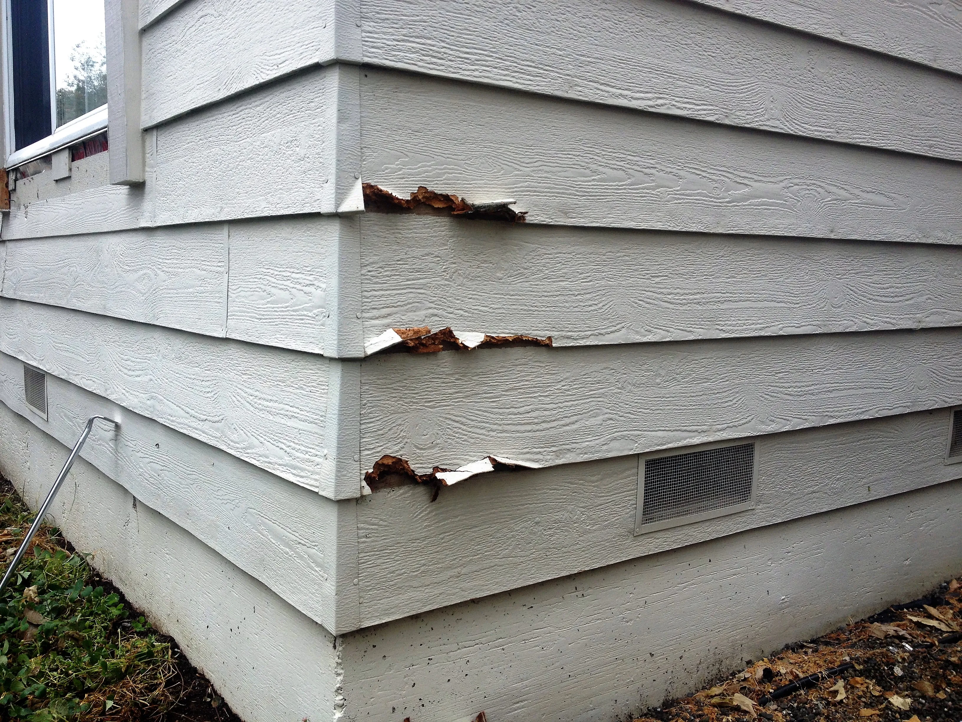 Picture of Solidarity Painting, Inc. brings a transformative touch to damaged siding, ensuring quality restoration that stands the test of time. Recognized for expertise, the team focuses on quality outcomes for high customer satisfaction. Copyright ©2025 Diamond Certified Resource - Solidarity Painting, Inc.